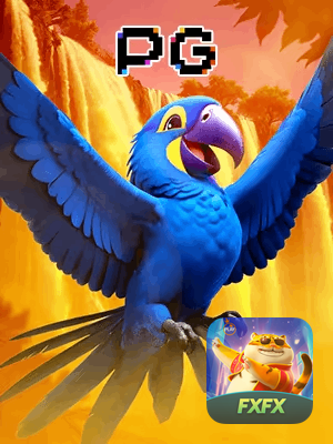 FXFX bônus — cashback 15 por cento e níveis VIP
