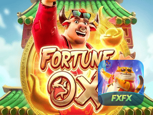 FXFX login — painel de entrada no app oficial